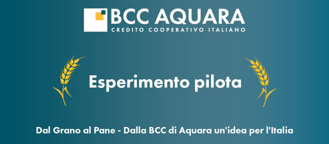 Dal Grano al Pane - Dalla BCC di Aquara un'idea per l'Italia - Copertina